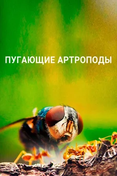 ТВ-шоу Пугающие артроподы (1 сезон)