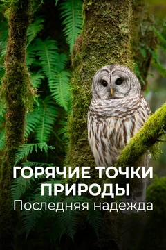 Сериал Горячие точки природы. Последняя надежда (1 сезон)